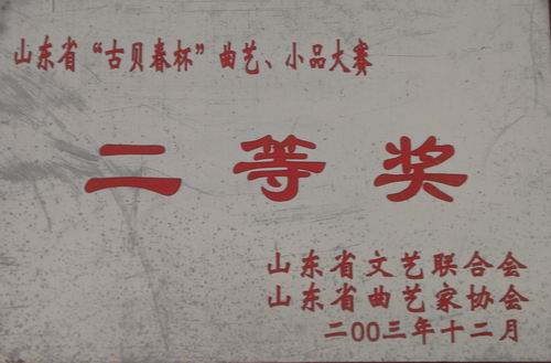 我校學生參加山東省“古貝春杯”